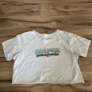 Patagonia cropped tshirt